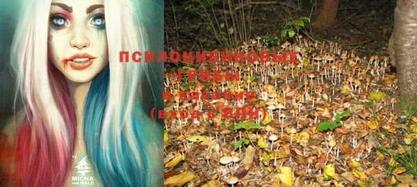 прущие крисы Арсеньев