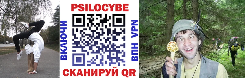 Псилоцибиновые грибы Psilocybe  KRAKEN tor  Сергач  купить  цена 
