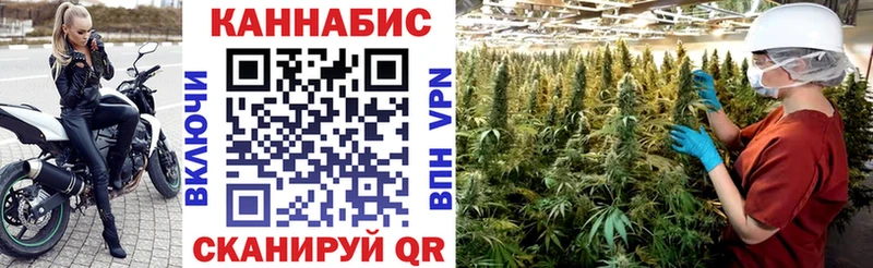 купить  сайты  Сергач  Конопля сатива 